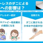 徹底解説 ダニがつかないマットレスの選び方と正しい対策方法