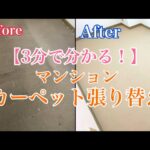 東京でカーペットを選ぶ際に知っておくべきこと