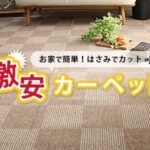 楽天で買える びっくりカーペット の魅力と選び方｜快適な暮らしを実現するポイント解説